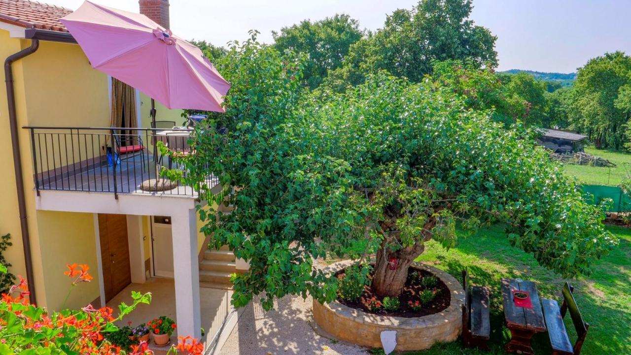 Studio Apartment Gianni Vizinada Exterior photo