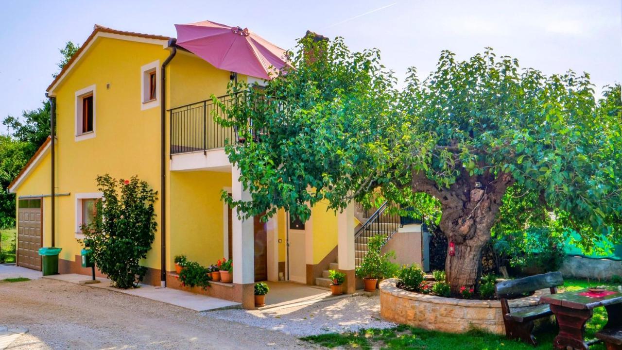 Studio Apartment Gianni Vizinada Exterior photo