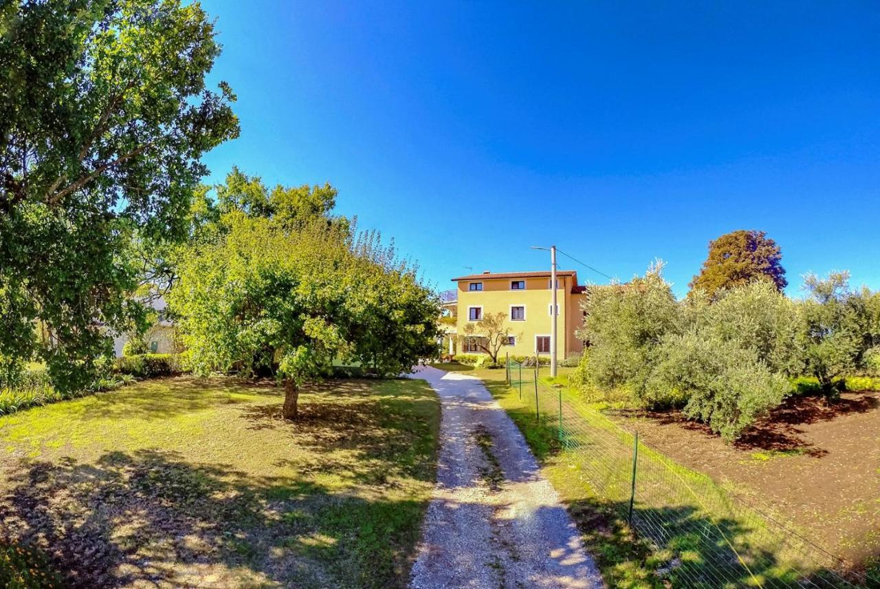 Studio Apartment Gianni Vizinada Exterior photo